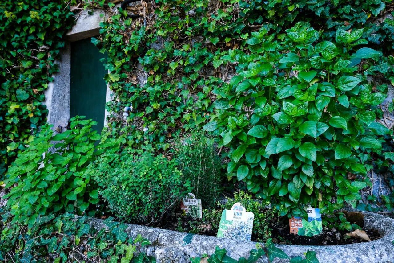 Villa Gina Varenna Exterior foto